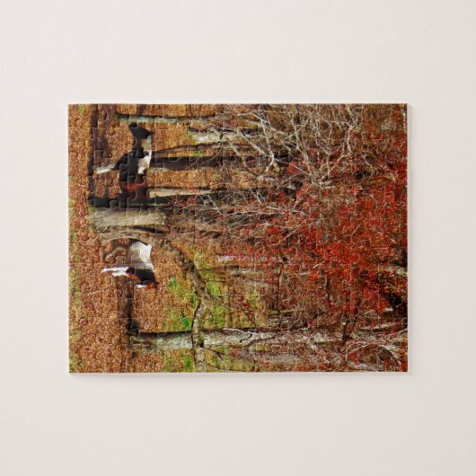 Zwillingspferde Puzzle (Horizontal)