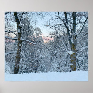 Zwillingsschnee auf Bäumen Poster