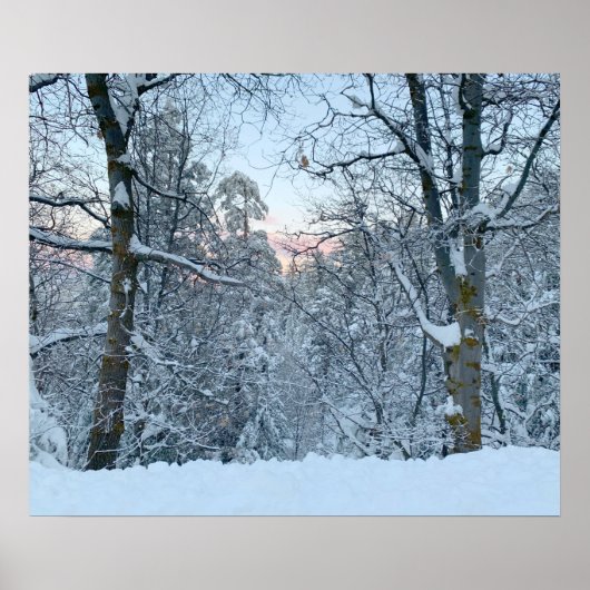 Zwillingsschnee auf Bäumen Poster (Vorne)