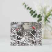 Zwillingsspecht - Postkarte (Stehend Vorderseite)