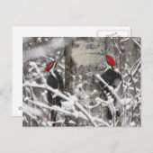 Zwillingsspecht - Postkarte (Vorne/Hinten)