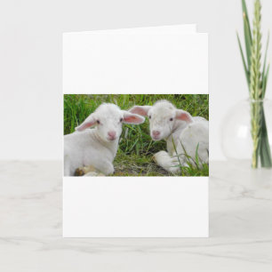 Zwillingstier des Lamms Karte