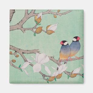 Zwillingsvögel in den Zweigen Magnet