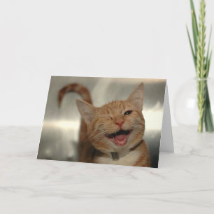 Zwinkernden glücklichen roten Kater Geburtstag Karte