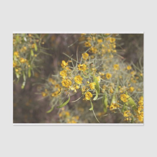 Zwirnpapier für gelbe Blumen Seidenpapier (Vorderseite)