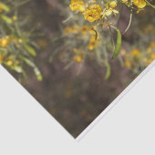 Zwirnpapier für gelbe Blumen Seidenpapier (Ausschnitt)