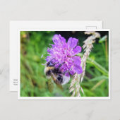 Zwischen Blüte & Brummen – Natur im Kleinformat Postkarte (Vorne/Hinten)