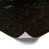 Zwischen den Inseln, Roath Park Lake, Cardiff. Poster (Ecke)