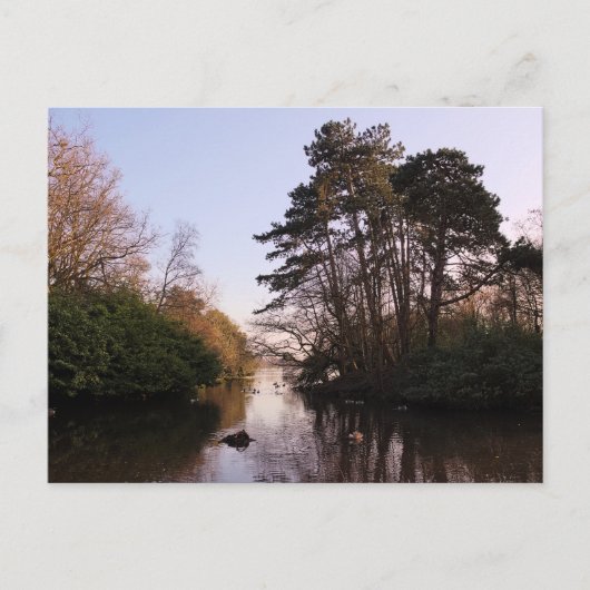 Zwischen den Inseln, Roath Park Lake, Cardiff. Postkarte (Vorderseite)