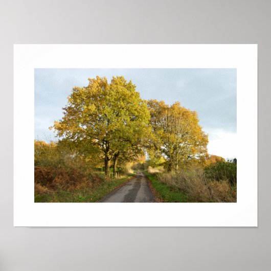 Zwischen den Oaks: Rural Cheshire Poster (Vorne)