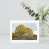 Zwischen den Oaks: Rural Cheshire Postkarte (Stehend Vorderseite)