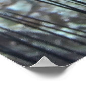 Zwischen den Urchins Poster (Ecke)