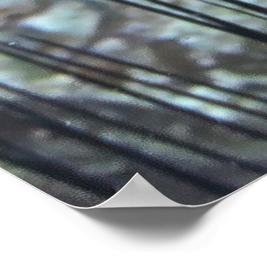 Zwischen den Urchins Poster (Ecke)