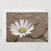 Zwischen einem Felsen und einem harten Platz Einladung (Rückseite)