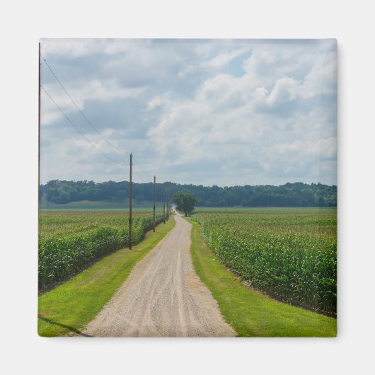 Zwischen Maisfeldern Magnet (Vorne)