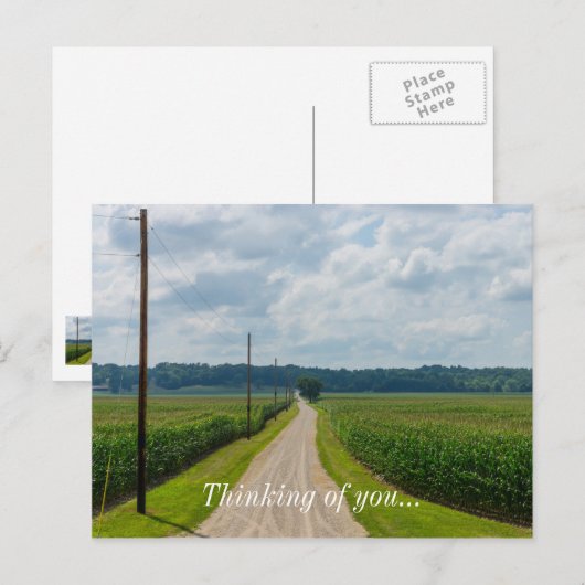 Zwischen Maisfeldern Postkarte (Vorne/Hinten)