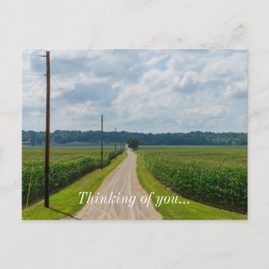 Zwischen Maisfeldern Postkarte (Vorderseite)