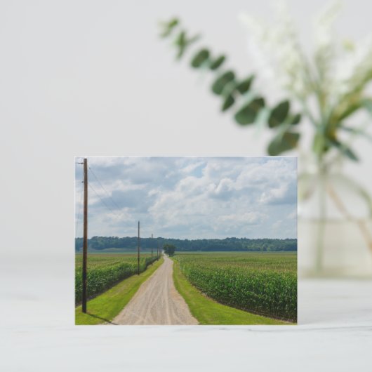 Zwischen Maisfeldern Postkarte (Stehend Vorderseite)