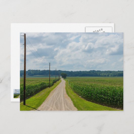 Zwischen Maisfeldern Postkarte (Vorne/Hinten)