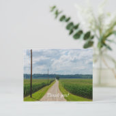 Zwischen Maisfeldern Postkarte (Stehend Vorderseite)