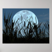 Zwischen Moon und Marsh Poster (Vorne)