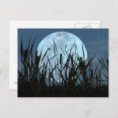 Zwischen Moon und Marsh Postkarte (Vorne/Hinten)