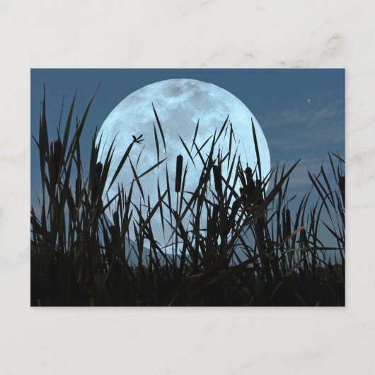 Zwischen Moon und Marsh Postkarte (Vorderseite)