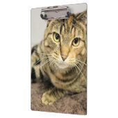 Zwischenablage Klemmbrett (Links)