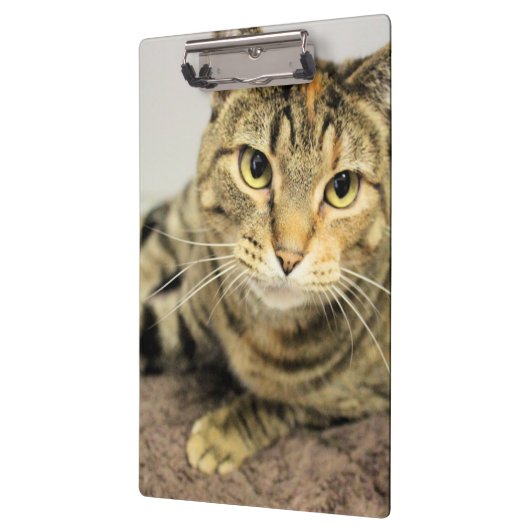 Zwischenablage Klemmbrett (Links)