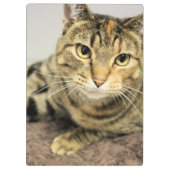 Zwischenablage Klemmbrett (Rückseite)