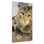 Zwischenablage Klemmbrett (Rechts)