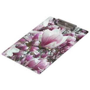 Zwischenablage - Saucer Magnolia Klemmbrett