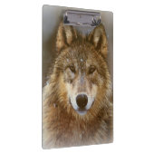 Zwischenablage/Wolf Klemmbrett (Rechts)