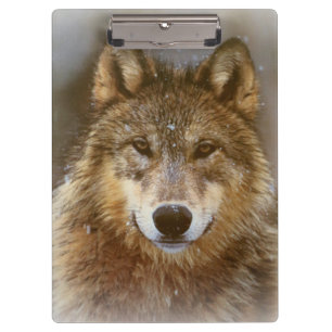 Zwischenablage/Wolf Klemmbrett