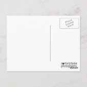 zwischenstaatlich postkarte (Rückseite)