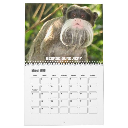 Zwölf Affen Kalender (Mär 2026)