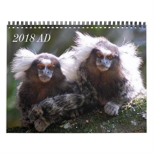 Zwölf Affen Kalender (Titelbild)