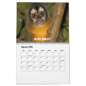 Zwölf Affen Kalender (Feb 2026)