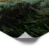 Zwölf Apostel Australien Poster (Ecke)