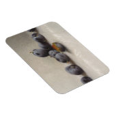 Zwölf Pflaumen Magnet (Rechte Seite)
