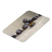 Zwölf Pflaumen Magnet (Linke Seite)