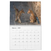 Zwölf schöne Katzen Bilder Kalender (Feb 2027)