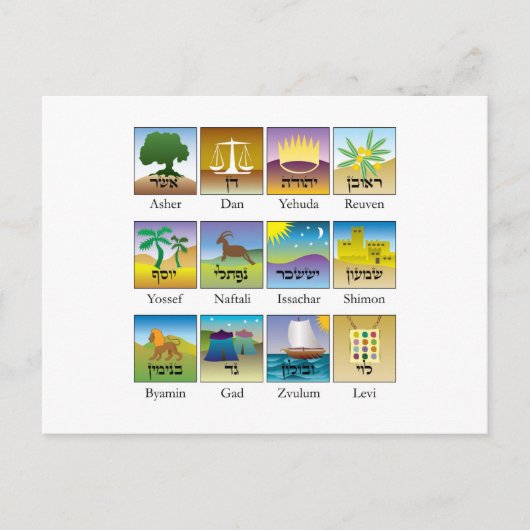 Zwölf Stämme von israelischen Siegeln Postkarte (Vorderseite)