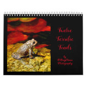 Zwölf Terrific Toads Kalender (Titelbild)