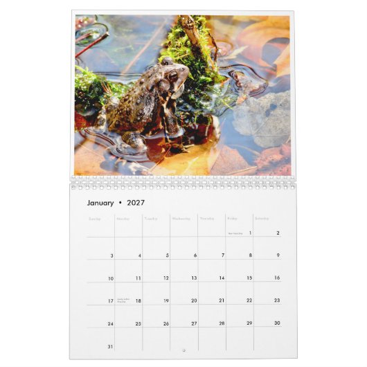 Zwölf Terrific Toads Kalender (Jan 2027)
