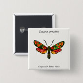 Zygaena carniolica - The Crepuscular Burnet Moth Button (Vorne & Hinten)