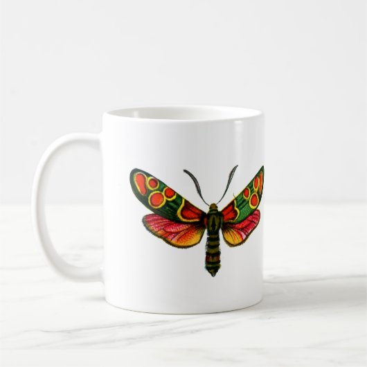 Zygaena carniolica - The Crepuscular Burnet Moth Kaffeetasse (Links)