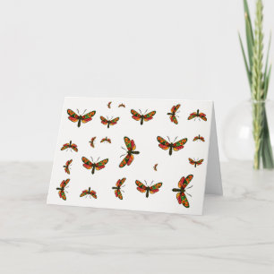 Zygaena carniolica - The Crepuscular Burnet Moth Karte
