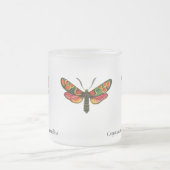 Zygaena carniolica - The Crepuscular Burnet Moth Mattglastasse (Mittel)