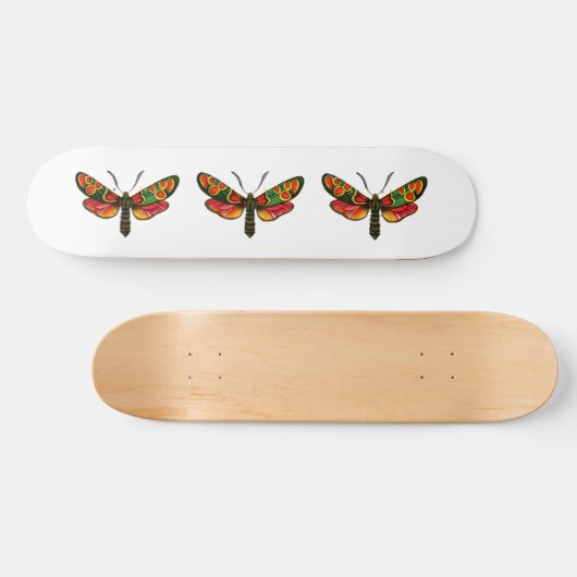Zygaena carniolica - The Crepuscular Burnet Moth Skateboard (Horizontal)